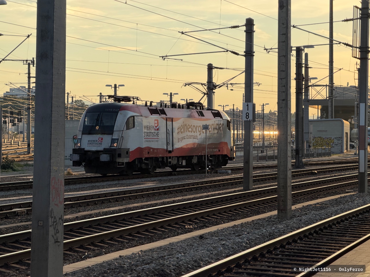 1116.274 bei WBF