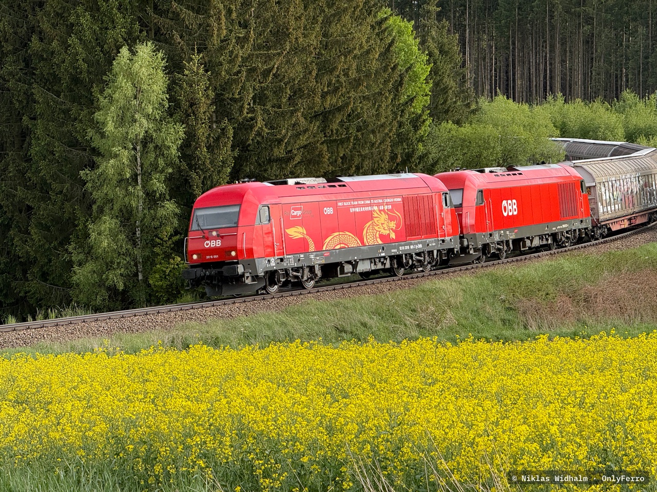 2016.001 bei Schwarzenau